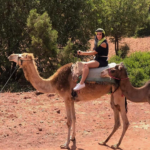 camel ride Marrakech — Maison Berber Ait Lhcen